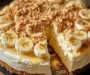 Banana Pudding Crunch Cheesecake: An Incredible Ultimate Recipe
